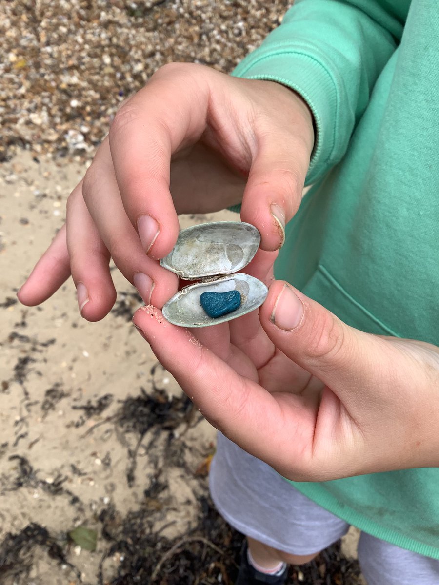 AvantiMeadows's tweet photo. Went to the beach this morning. We found more Isle of Wight blue, built sand castles and even saw a crab! https://t.co/Xwq8qBkfqx