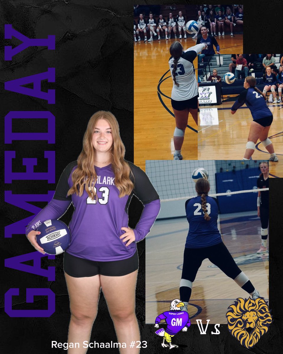 @SuperlarkVolleyball tweet media