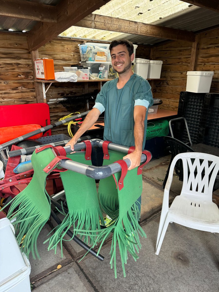 renapoly_93's tweet image. The #SealWash is one of our enrichments ideated by one of our volunteers. It is made with recycled materials (fire hoses, carwash brushes and PVC tubes) and it mimics the natural movement of algae in the water. 

#アザラシ幼稚園 #sealslive @Zeehondencreche