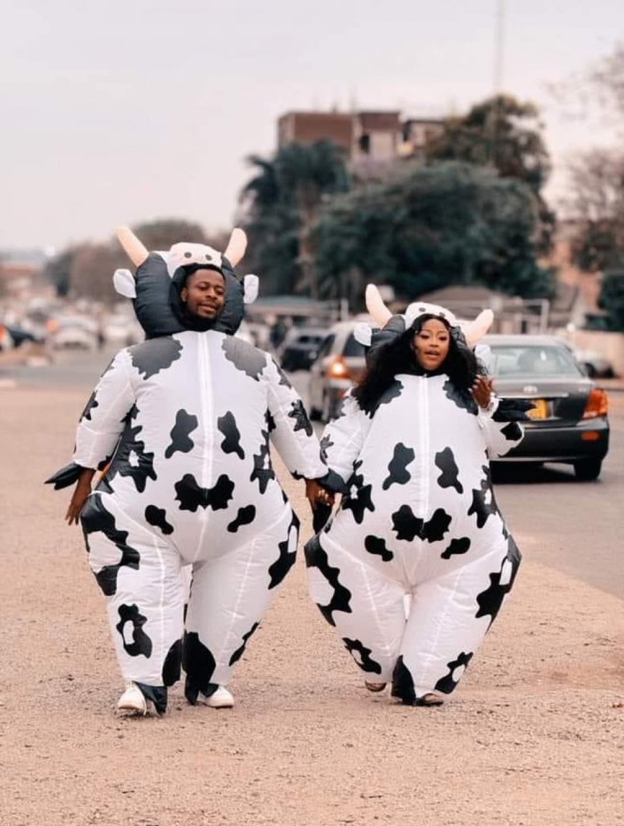 DillenMasawi's tweet image. Mookadzi ne moorume 😂😂😂