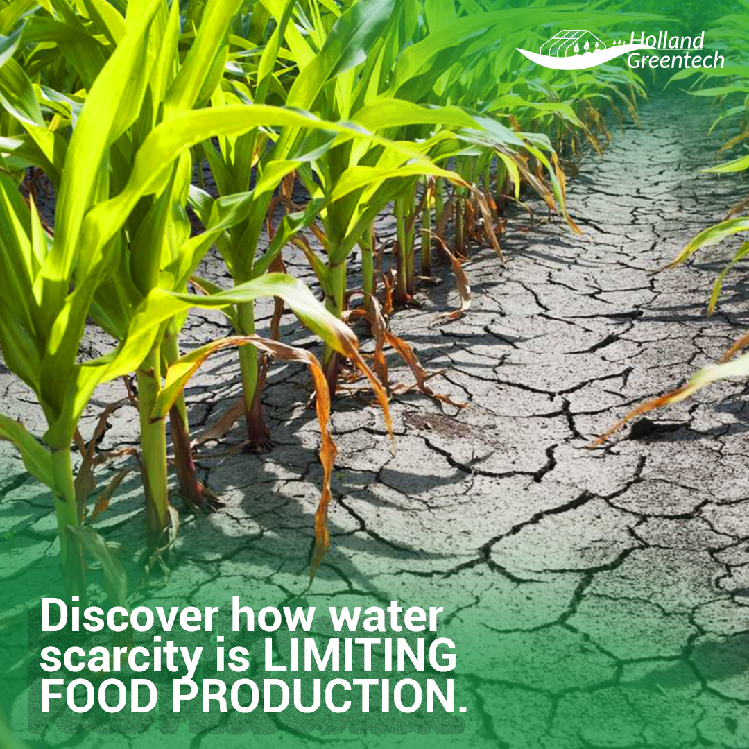 Water Scarcity is Choking Our Farms 
As water resources dwindle, crops struggle, soils degrade, and livestock suffer. With less water for farming, global food production is at risk. 

Join us on 5th Oct at Makerere University Agricultural Research Institute Kabanyoro 10:00 AM