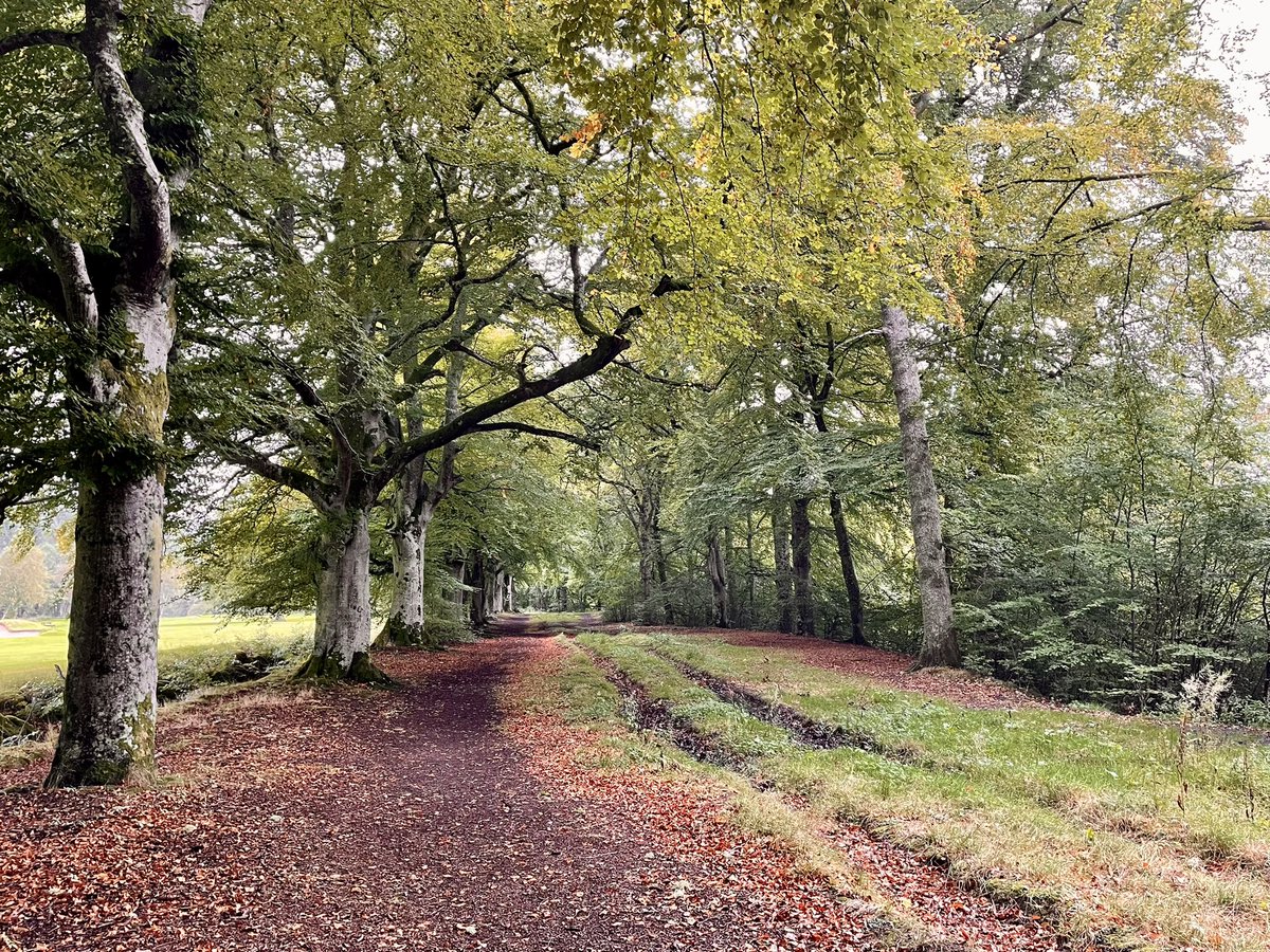 McJax's tweet photo. It’s beginning to look a lot like … Autumn!
#Kenmore #LochTay #Perthshire @VisitScotland https://t.co/uvN5OWaO2g