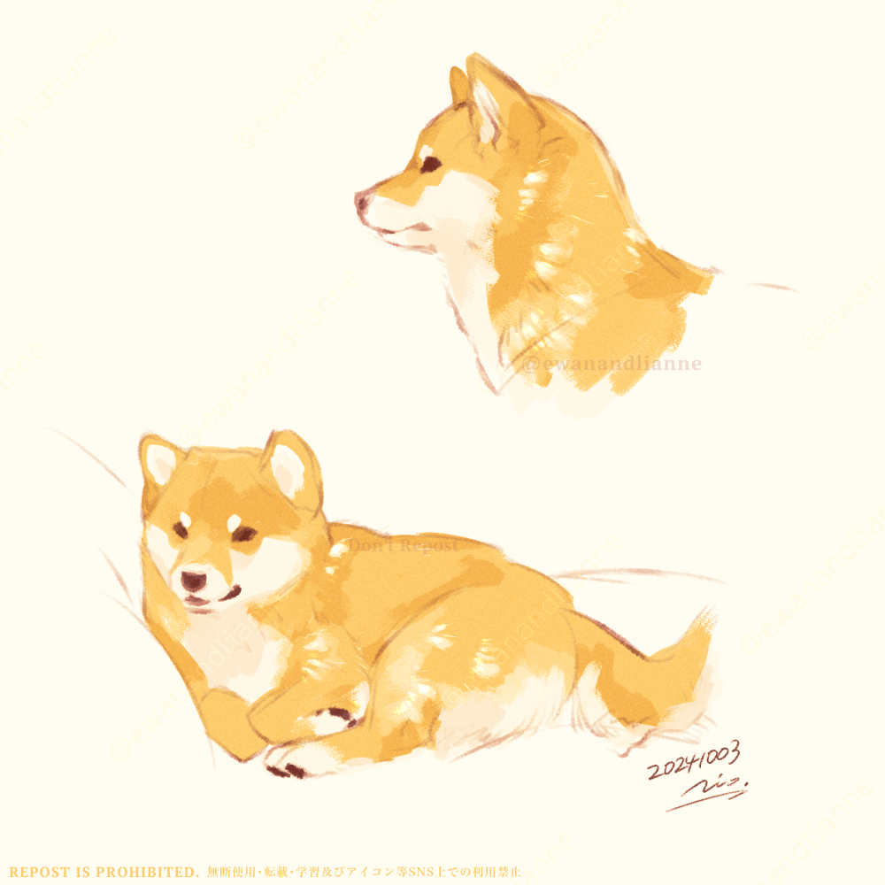 Rio🐕Illustrator tweet media