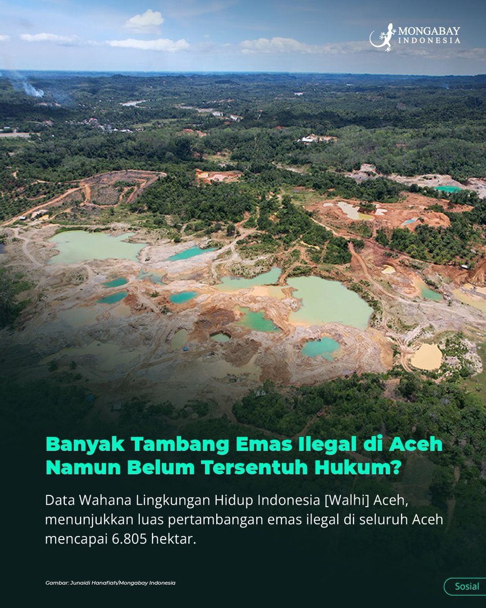 MongabayID's tweet photo. Data Wahana Lingkungan Hidup Indonesia (Walhi) Aceh menunjukkan bahwa luas pertambangan emas ilegal di seluruh Aceh mencapai 6.805 hektar, dengan persebaran terbesar di Kabupaten Aceh Barat (3.300 hektar), diikuti Nagan Raya (2.345 hektar), Pidie (752 hektar), dan beberapa wilayah lainnya. Ahmad Shalihin, Direktur Walhi Aceh, menyatakan bahwa hingga kini belum ada perhatian serius dari pemerintah maupun penegak hukum untuk menangani aktivitas ini, yang sebagian besar berlangsung di hutan lindung, hutan produksi, dan area penggunaan lain, termasuk Kawasan Ekosistem Leuser (KEL). Aktivitas ini juga telah merusak daerah aliran sungai (DAS) yang menjadi sumber air bersih dan mendukung pertanian masyarakat.

Pertambangan emas ilegal di Aceh awalnya dimulai di Gunong Ujeun, Kabupaten Aceh Jaya, dan kemudian menyebar ke wilayah lain seperti Pidie, Aceh Selatan, dan Nagan Raya. Penambang menggali sumur dengan kedalaman 20-30 meter, lalu melanjutkan penggalian secara horizontal mengikuti batuan yang mengandung emas. Untuk memisahkan emas dari batu, digunakan mesin gelondongan, merkuri, atau sianida, yang merusak lingkungan sekitar. Sebagian besar pekerja tambang didatangkan dari Jawa dan Kalimantan, dengan biaya perjalanan dan makan ditanggung pemodal.  

Selengkapnya: 
https://t.co/CpKi8vCL8w