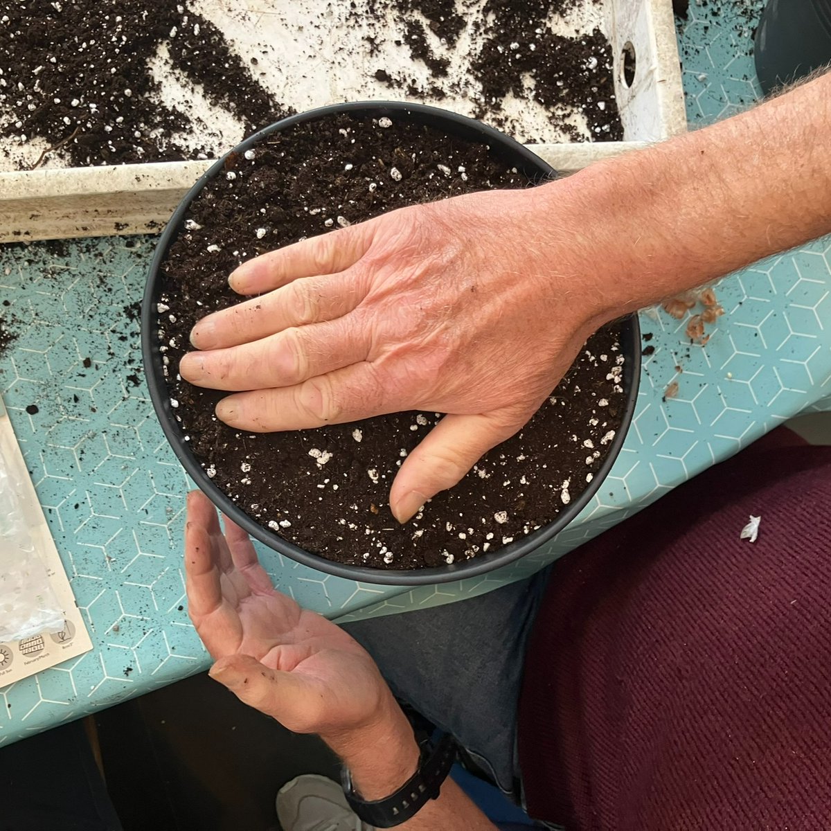 Our Bude dementia-friendly group enjoyed a fab session planting bulbs for pollinators with Jess from Cornwall Grows CIC. 

Why not plant some spring bulbs and get stuck into the soil - we highly recommend it😊