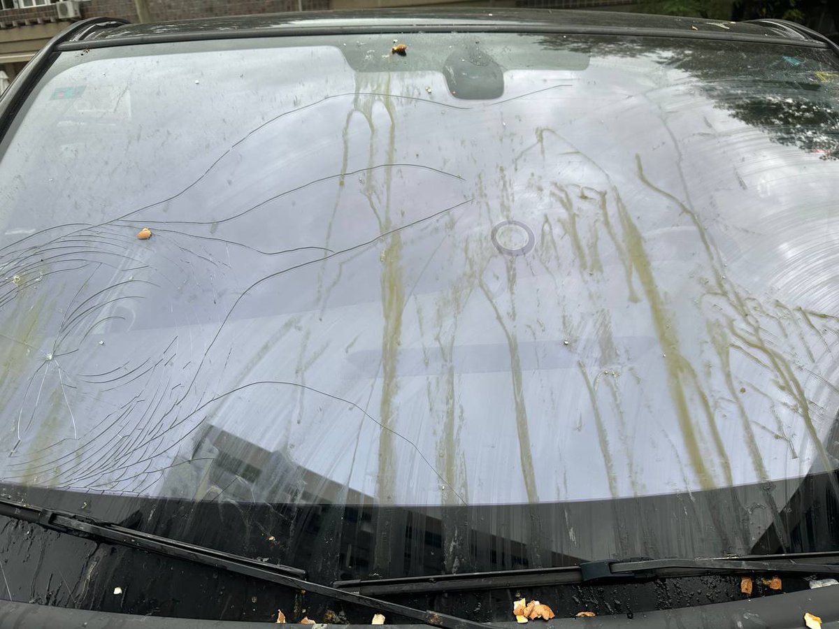 Mónica García tweet media