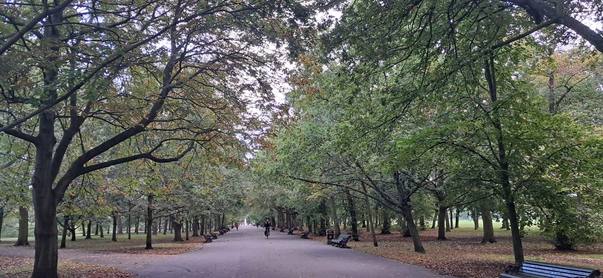 Justina Murray tweet media