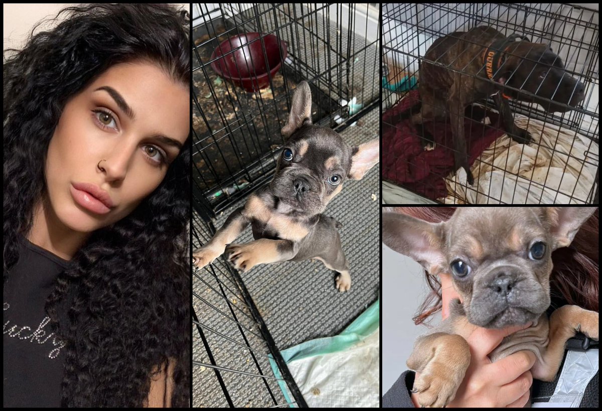 Please retweet vile breeder and animal abuser - AVOIDS JAIL‼️Elana Steel aka Elana Leigh, 28, previously of #Wednesfield, #Wolverhampton, and now #GreatWyrley, South #Staffordshire. 
Following a successful prosecution by Cannock Chase Council, Steel was given a 30 week prison