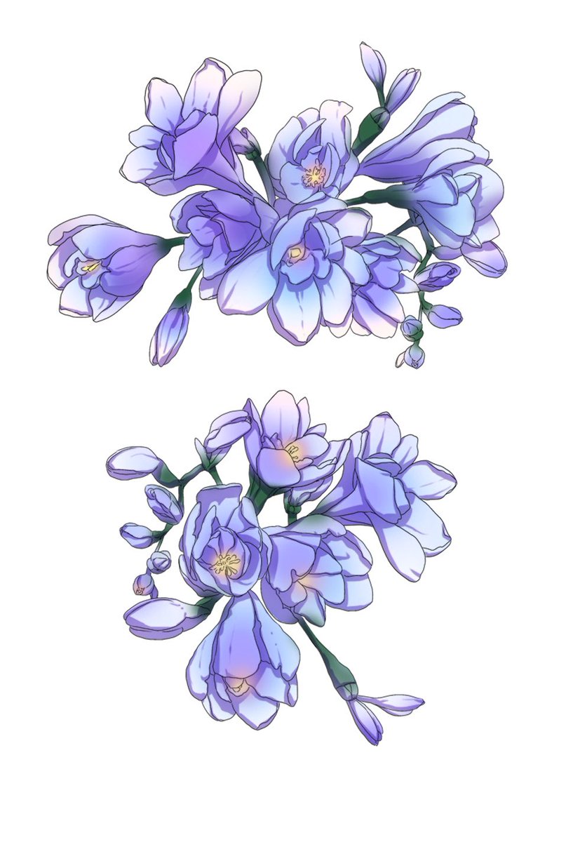 bottari_asset's tweet image. 푸른 프리지아 blue freesia (한정무료 limited free) by zigi 
assets.clip-studio.com/ko-kr/detail?i… #clipstudio