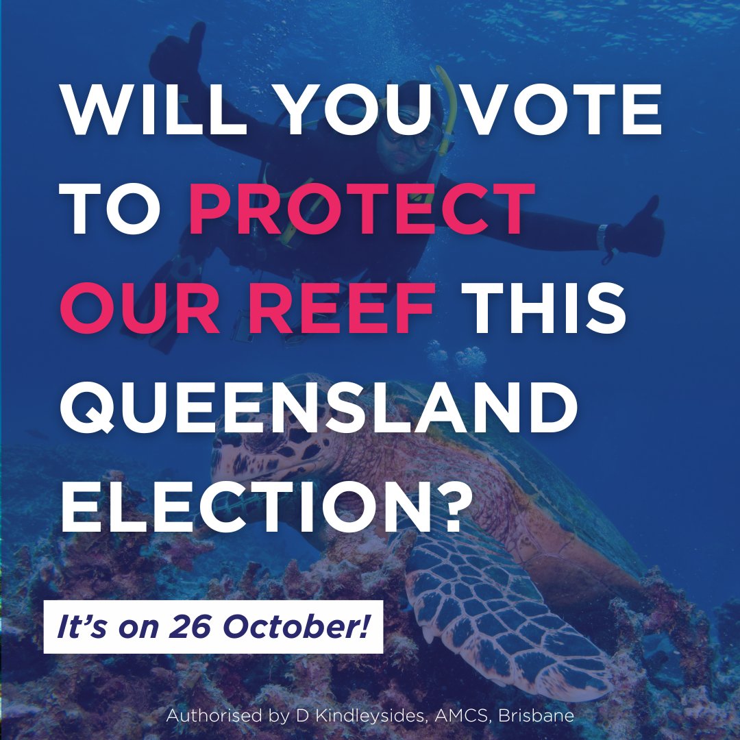 3 weeks til the Qld Election! Do you know which candidates plan to fight for the Reef? 
If you're in Far North Qld, attend our Barron River Candidates Forum on 10 Oct to decide who has the best plan to protect our Reef. 
Free event 🎫: bit.ly/3ZPO4X8