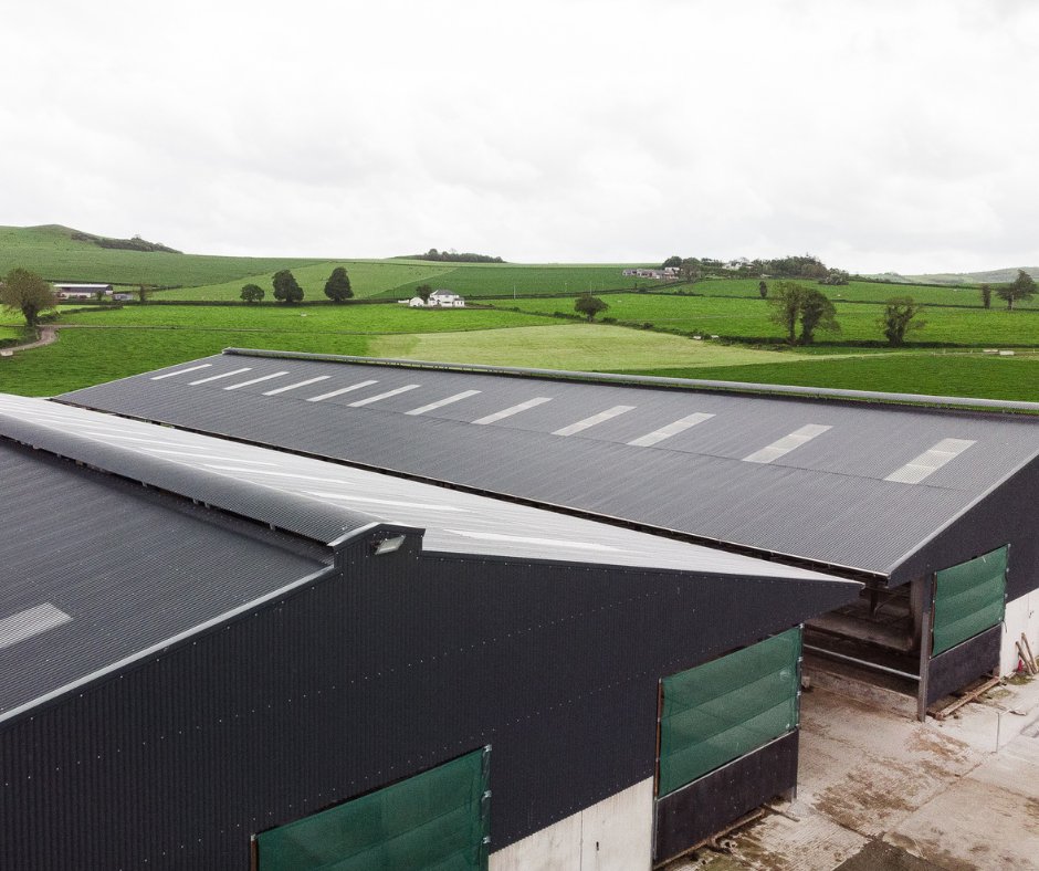 EuronitIreland's tweet photo. Super example of twin cubicle sheds cladded with our AgriBild Plus metal sheeting. Our sheeting protects these cows and their 360 cubicle spaces when they return from grass, while our open protected ridge system aids ventilation and herd health. #euronitireland #agribild https://t.co/Avh8JDRtSB
