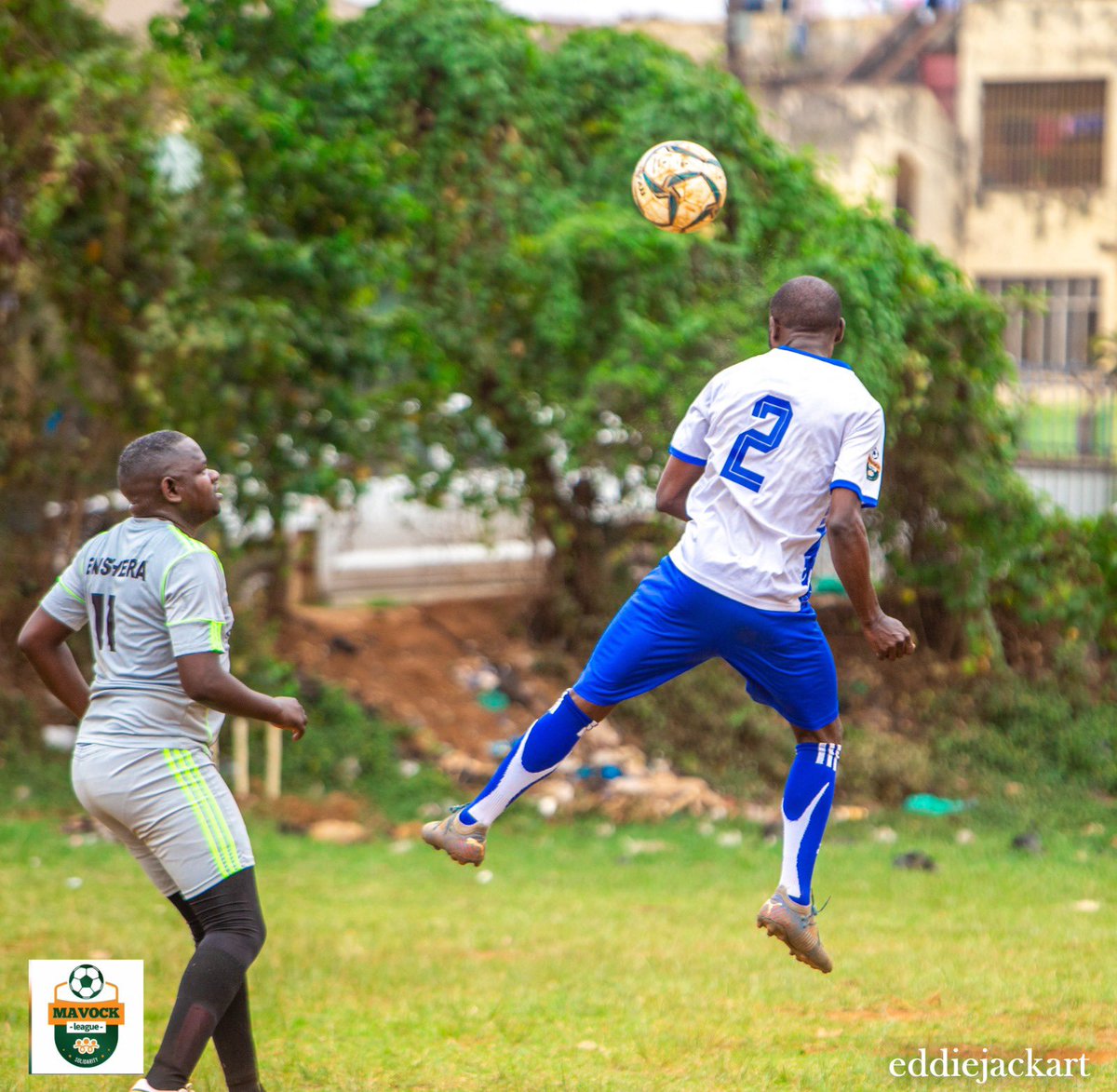 MAVOCK LEAGUE tweet media