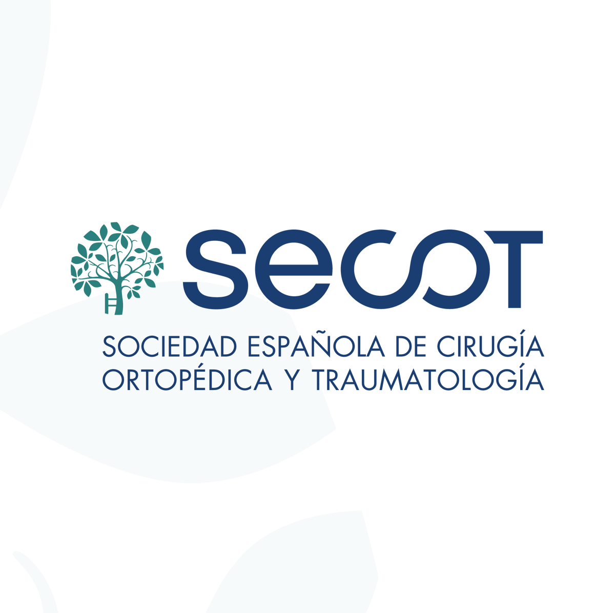 🟢GUÍA DE MANEJO MULTIDISCIPLINAR DE FRACTURAS ABIERTAS🟢

Una guía orientada a una patología a la que se enfrentan a diario Traumatólogos y Cirujanos Plásticos, y que cuenta con:

- 16 capítulos
- +20 autores

¡Ya en nuestra web!📲secot.es/guia-multidisc…