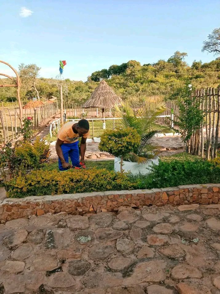 Artist TREVOR🇿🇦 tweet media