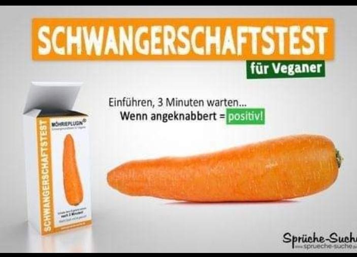 Andyhh73 (@wolfinatorhh) on Twitter photo 