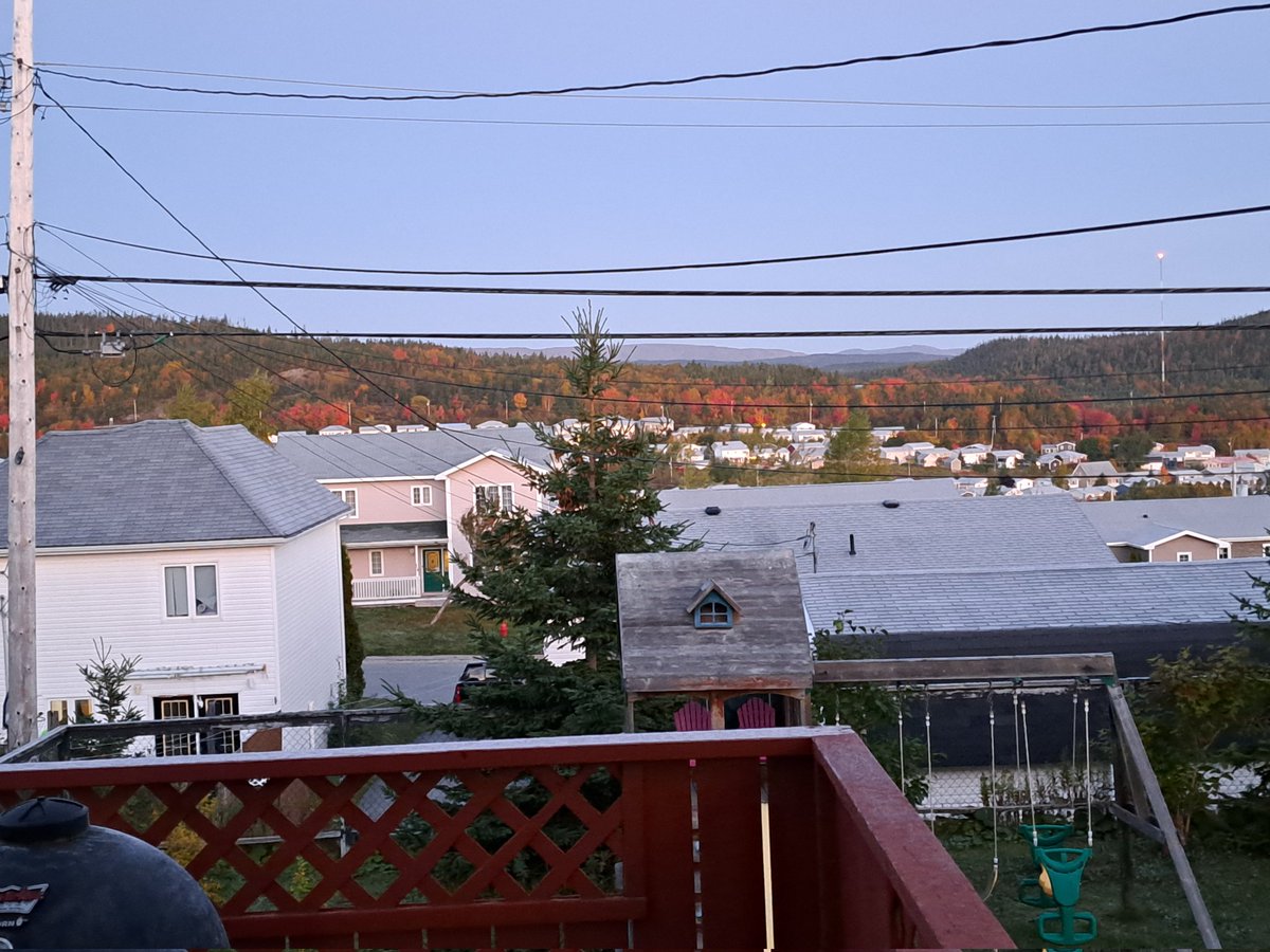 petersmithcb's tweet image. With a temp of -1 degrees this am there is heavy frost on ground and roofs in #cornerbrook #nl. Winter is coming! 🥶 @MurphTWN @weathernetwork @EddieSheerr @KelseyMcEwen @a_brauweiler #nlwx