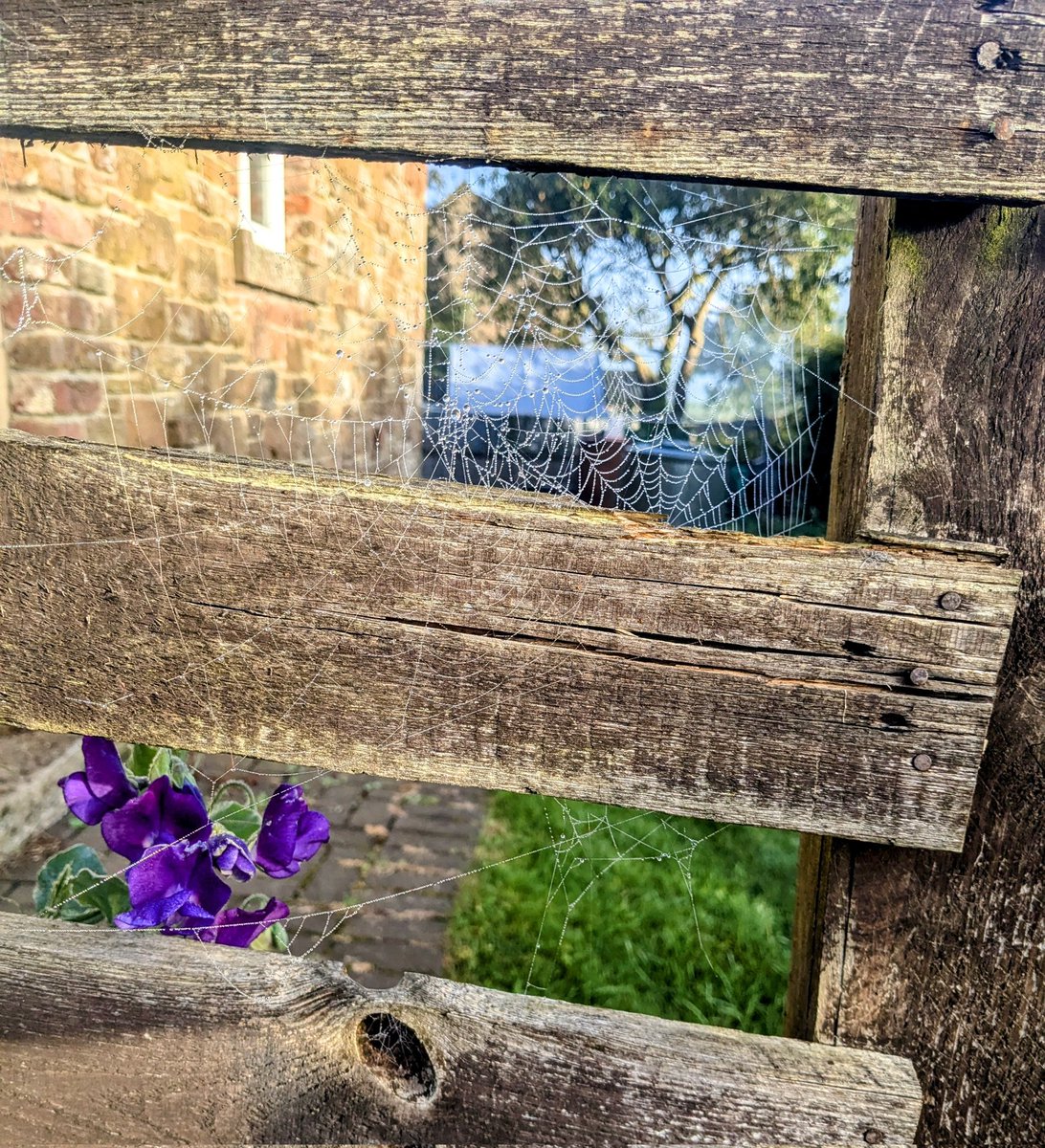 PepperKitching's tweet photo. Beautiful morning 🌞 https://t.co/ndbYubucak