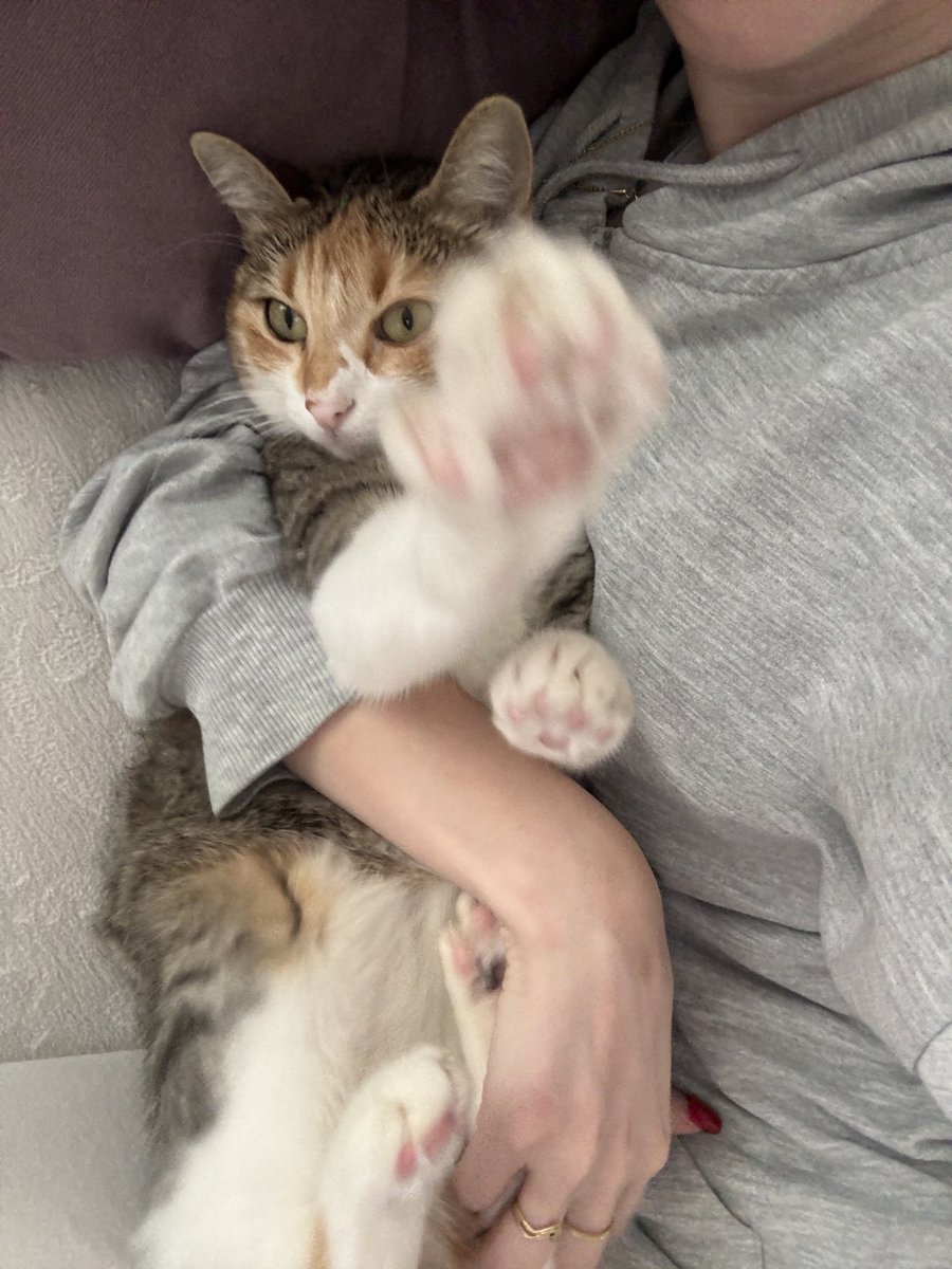 Annimle löve saati herxmn sarılmayı sevmiom malsf