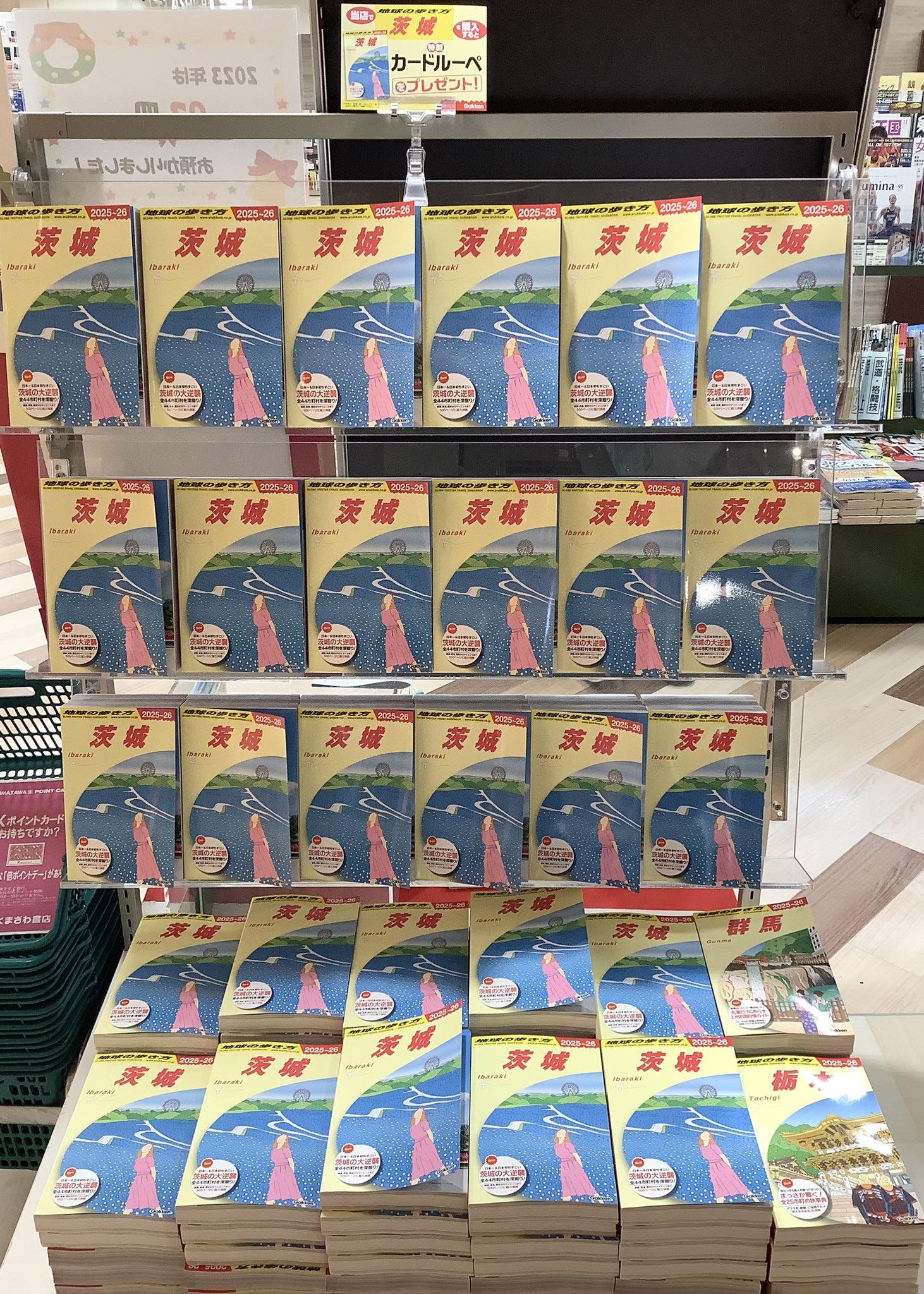 期間限定お値下げ！激レア！早い者勝ち！　地球の歩き方　チベット 期間限定お値下げ！激レア！早い者勝ち！ 地球の歩き方 チベット