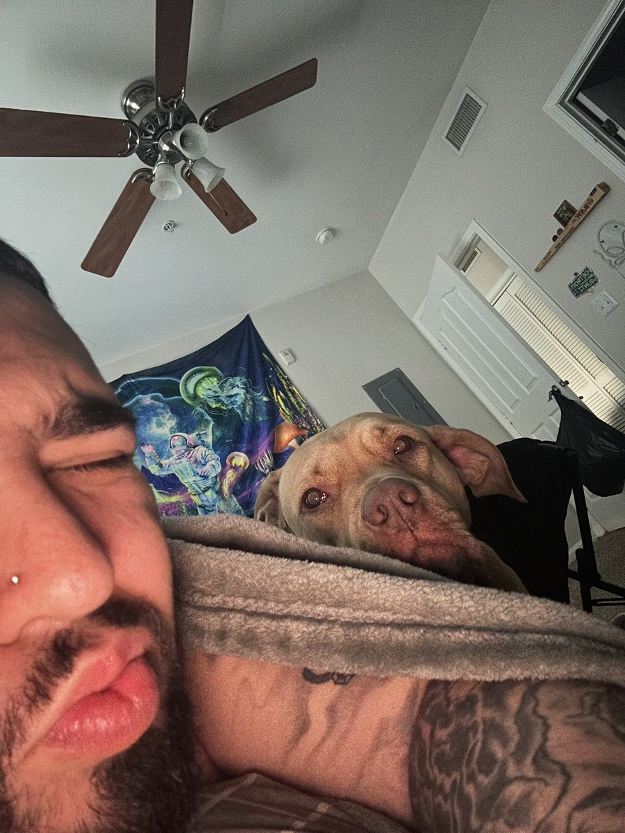 iceaiahh's tweet photo. https://t.co/zB9yZtFD0K