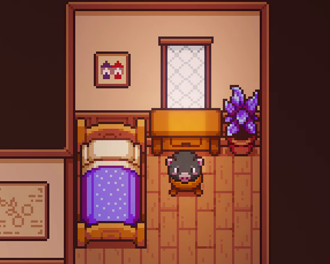 The body is round 🐷✨