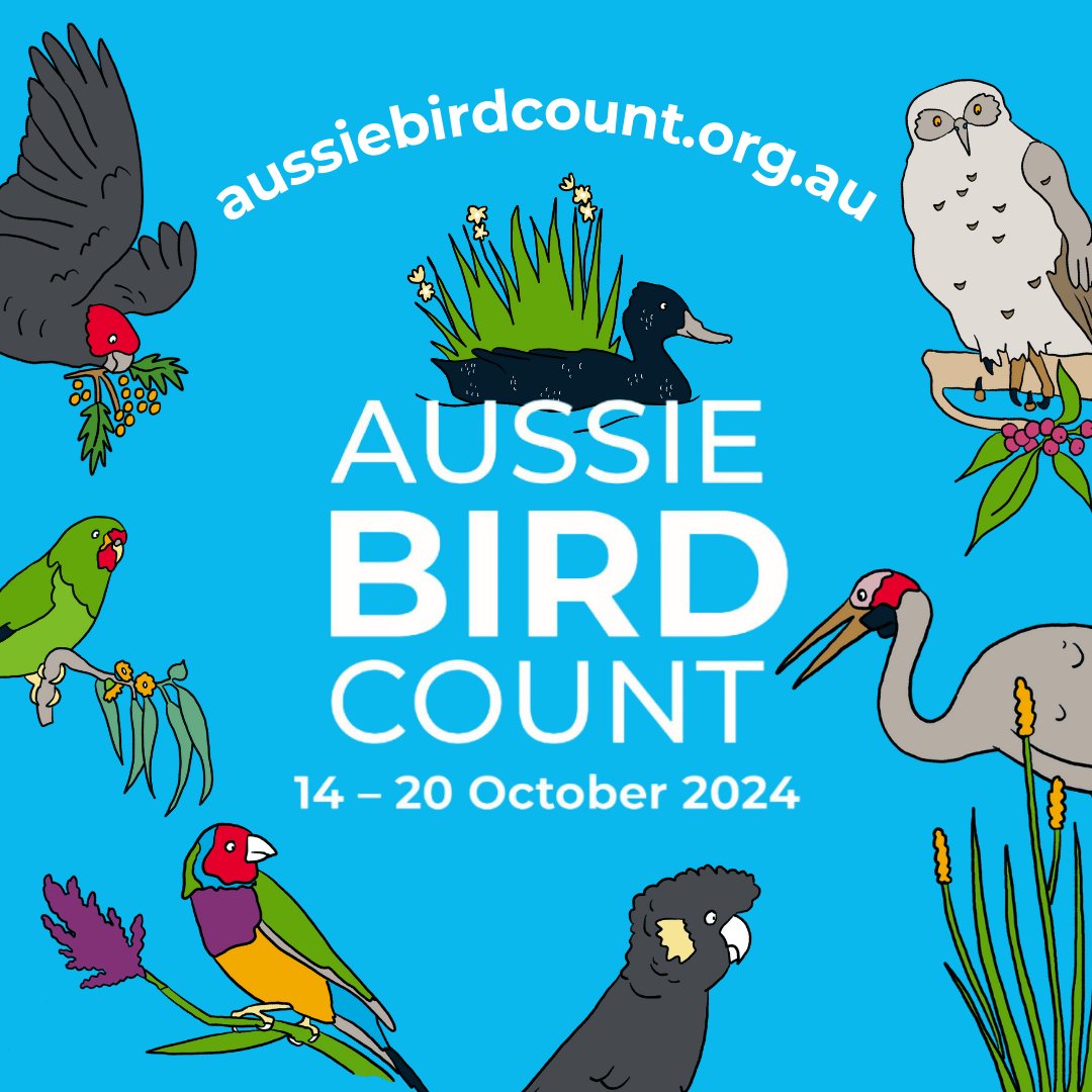 The countdown is on! It’s only 10 days until the #AussieBirdCount! 🐦🦜

To join us, make sure you:

🦜 Register as a counter at aussiebirdcount.org.au
🦜 Download the app from the Google Play Store or the App Store

14th - 20th October – see you there!