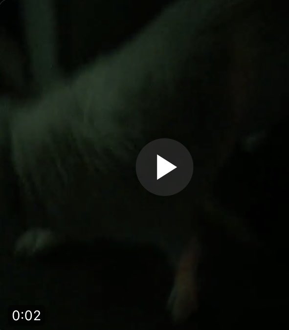 corrianne1985's tweet photo. WHO HAS THE FULL VIDEO??P Diddy’s bodyguard recorded his Sex Parties.  #PDiddy
https://t.co/uwQ13FFmy3
This is horrific. The video below is allegedly Diddy and Meek Mills.
Here is video last part 

Watch full video👇👇
https://t.co/uwQ13FFmy3 https://t.co/0b7GKa5uwp