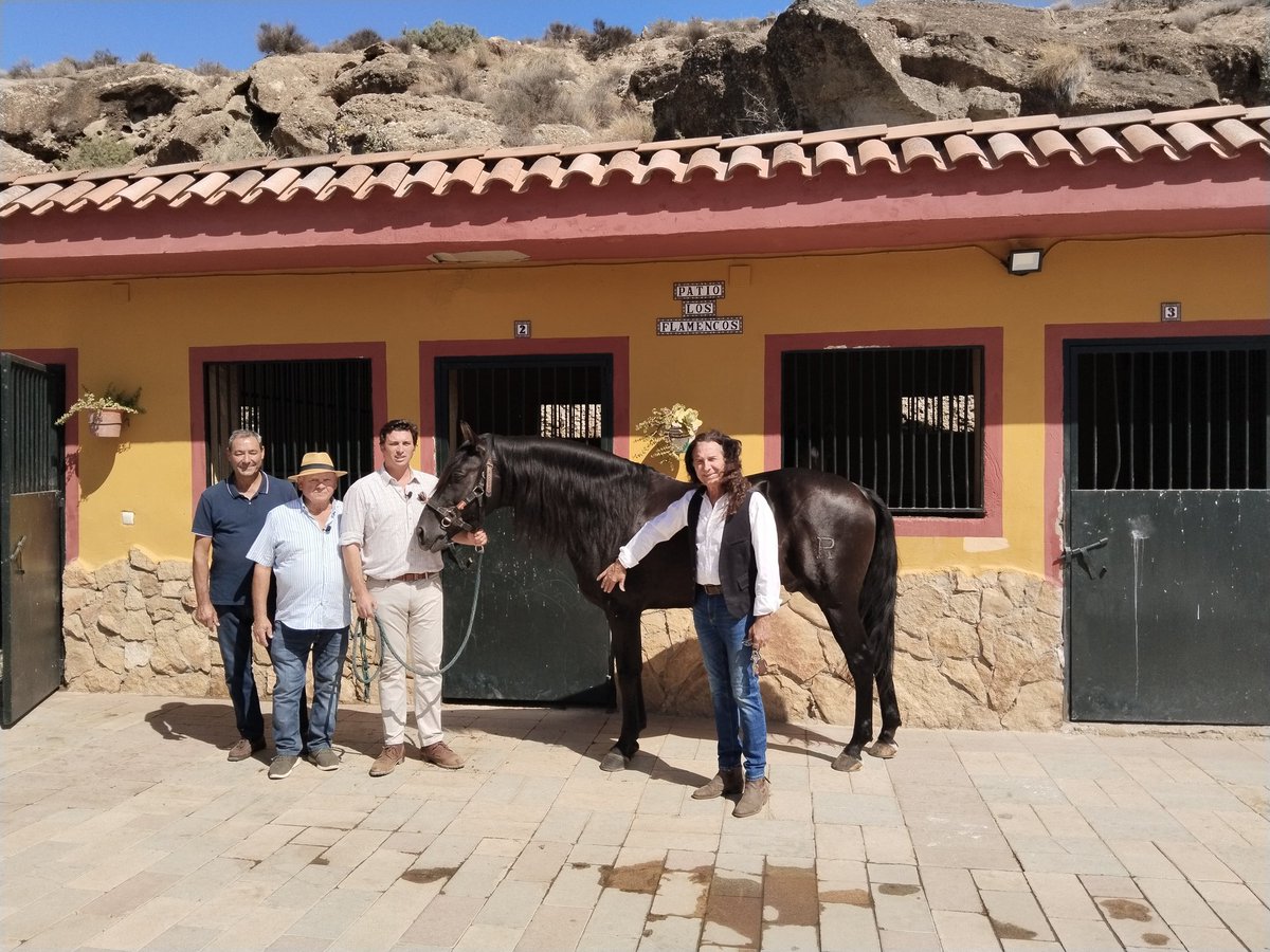 Yeguada Agricola Peralta tweet media