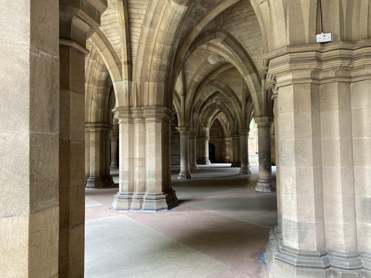 Caitlin Senior tweet media