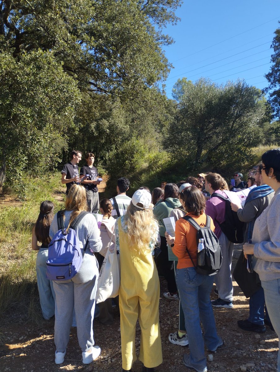 Escola Universitària de les Arts tweet media