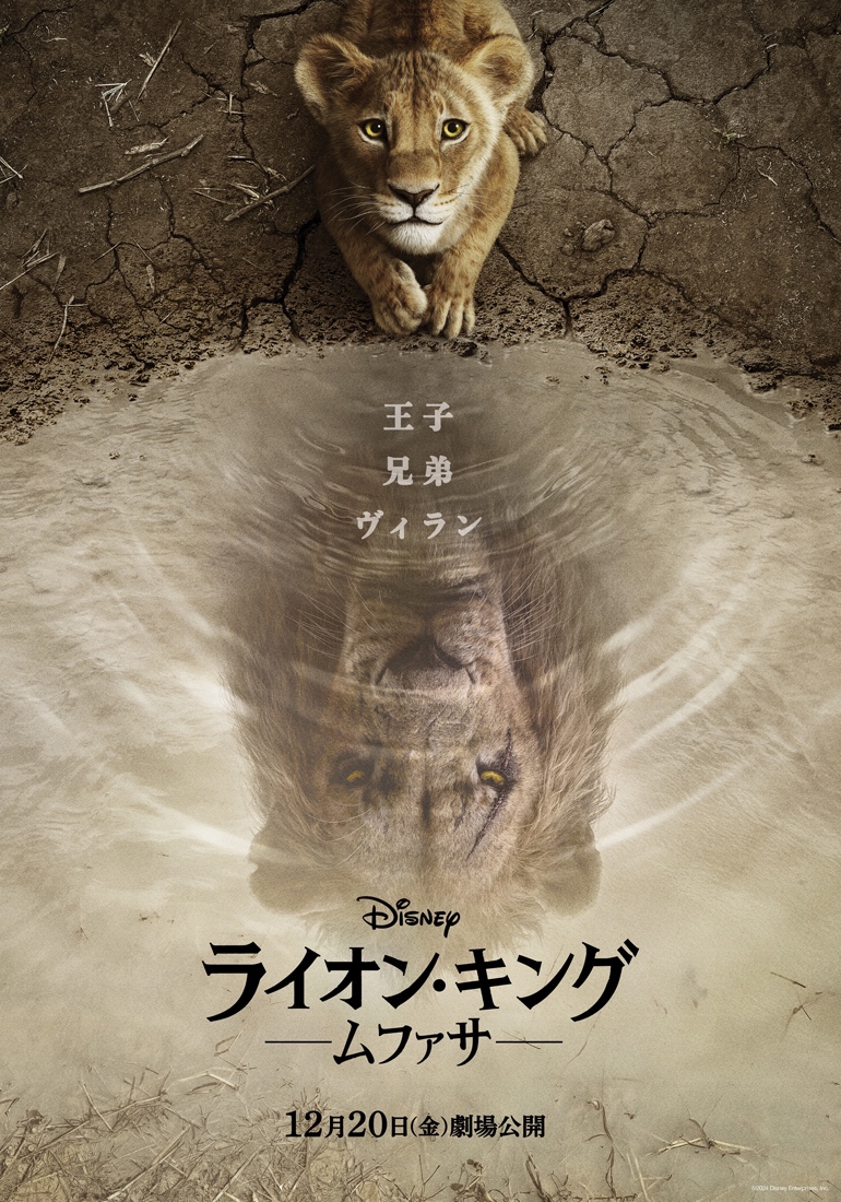 STARTO_INT's tweet photo. #GentaMatsuda of #TravisJapan will swap his tiger stripes for a lion's mane as the Japanese voice of "Taka" (young Scar) in Disney's Mufasa: The Lion King, coming to theaters Dec 20th!

#ライオンキングムファサ 
@TravisJapan_cr https://t.co/UUXvruZOnr