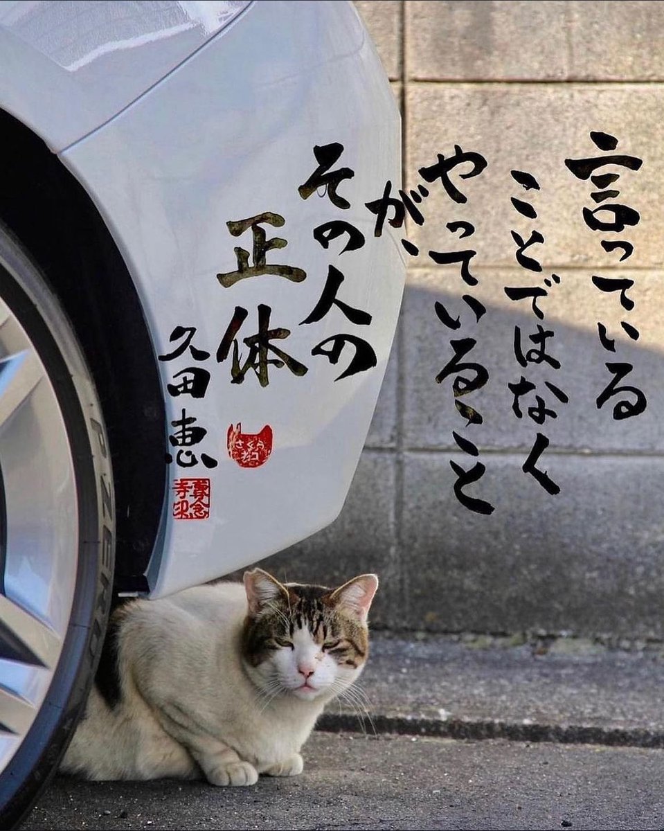 ネコさんから人間さんへ今日の一言