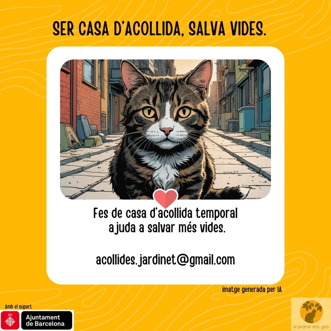 Jardinet dels Gats tweet media