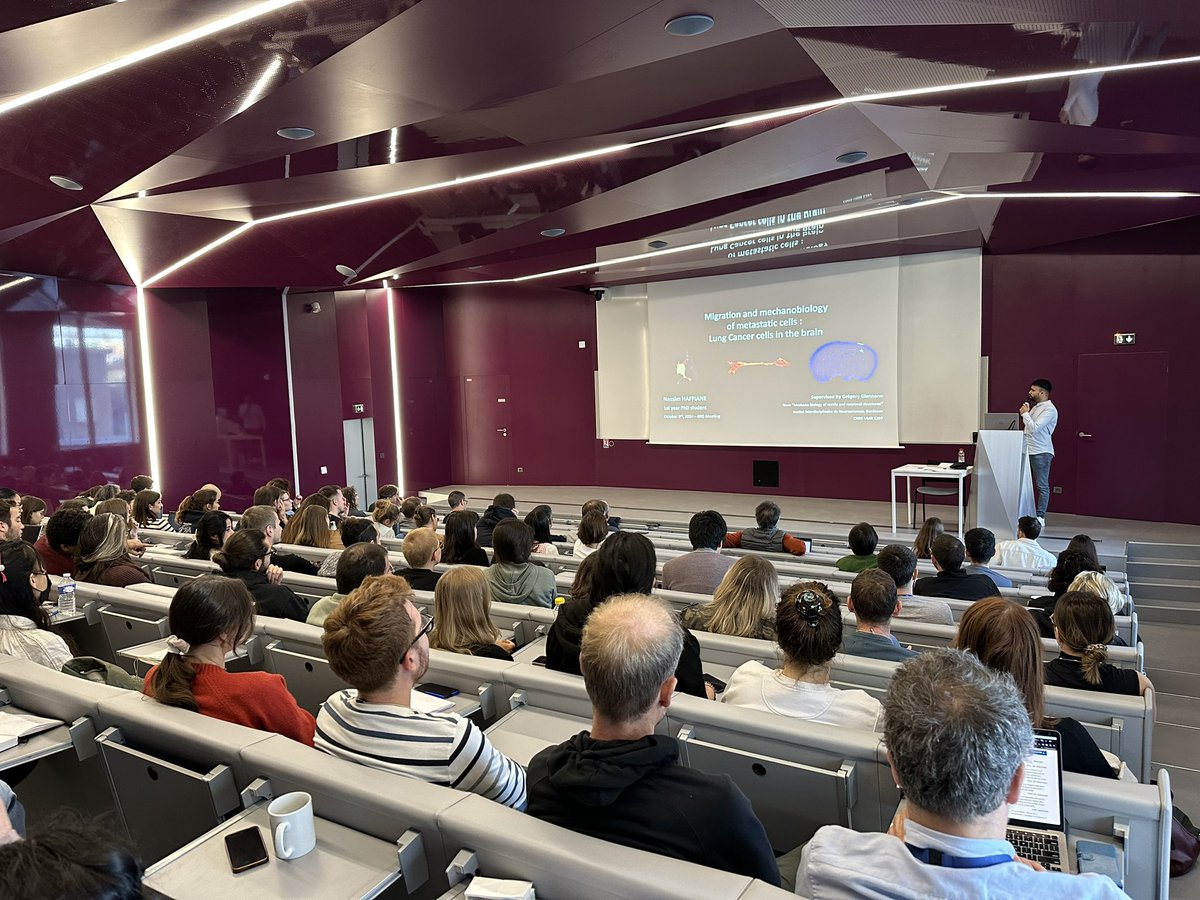 Interdisciplinary Institute for Neuroscience 🧠 tweet media