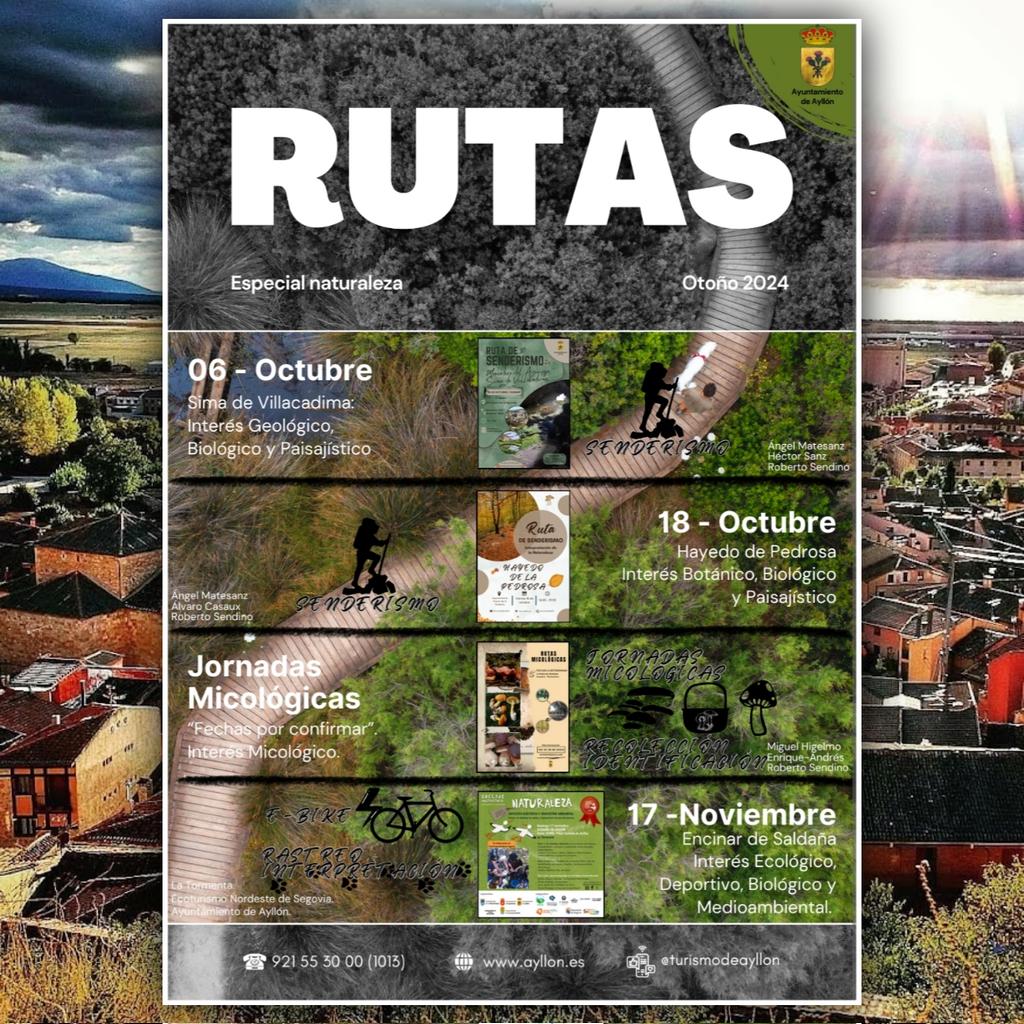 TurismodeAyllon's tweet photo. 🍂 Rutas otoñales 🏞️

¡Te esperamos!

#Ayllon #MedioAmbiente #Rutas #Naturaleza #Otoño https://t.co/bHxLVFRuy2