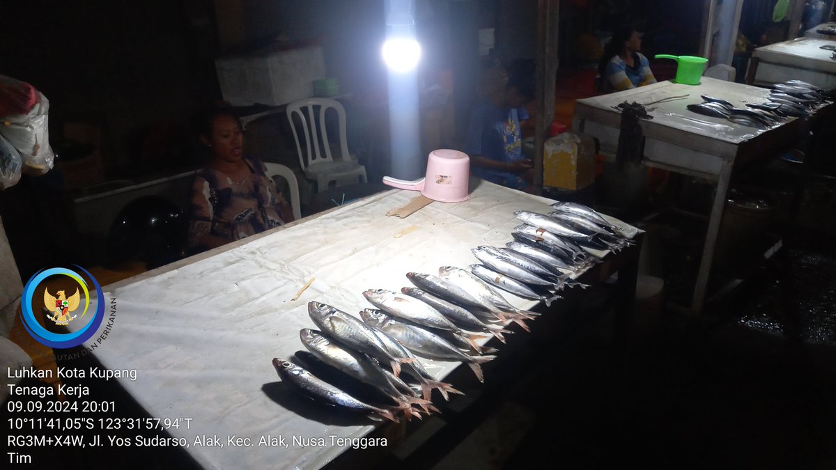 𝕯𝖆𝖛𝖎𝖉 𝕶𝖆𝖚 𝕭𝖆𝖓𝖆𝖘𝖊, 𝕾.𝕻𝖎 tweet media