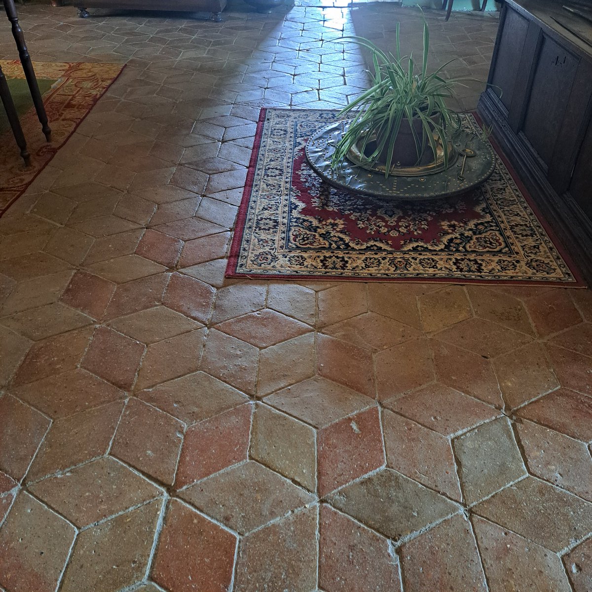 Busquem parella o família amb iniciativa per tenir cura d'una casa pairal del Gironès. Que sigui manetes i tingui experiència en horticultura. S'ofereix habitatge i contracte laboral de servei a la llar per un dels membres. 

Interessats escriviu a candidat@masiterra.cat