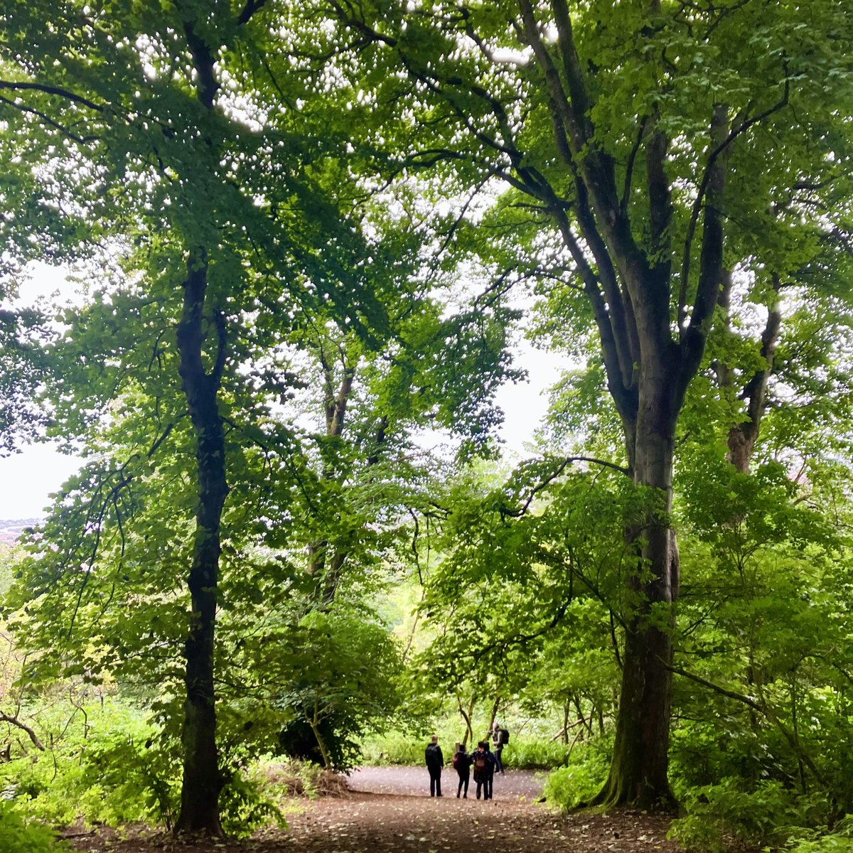 Ramblers Scotland (@ramblersscot) on Twitter photo <a href="/Actify/">Actify</a> <a href="/ActiveScotGov/">Active Scotland</a> <a href="/AidanActify/">Aidan Gallacher</a> <a href="/MareeToddMSP/">Maree Todd</a> <a href="/JohnSwinney/">John Swinney</a> <a href="/P_H_S_Official/">Public Health Scotland</a> <a href="/sportscotland/">sportscotland</a> <a href="/EducationScot/">Education Scotland</a> <a href="/COSLA/">COSLA</a> <a href="/SAMHtweets/">SAMH</a> <a href="/scotgovhealth/">Scot Gov Health</a> <a href="/neilcgray/">Neil Gray MSP</a> Thank you for featuring our Community Outreach Project on <a href="/actify/">Actify</a>!
👟actify.org.uk/module/2689
We hope it'll prompt even more groups to join with us to support refugees, asylum seekers & people from Global Majority communities to benefit from walking in Scotland. <a href="/ActiveScotGov/">Active Scotland</a> <a href="/Actify/">Actify</a> <a href="/ActiveScotGov/">Active Scotland</a> <a href="/AidanActify/">Aidan Gallacher</a> <a href="/MareeToddMSP/">Maree Todd</a> <a href="/JohnSwinney/">John Swinney</a> <a href="/P_H_S_Official/">Public Health Scotland</a> <a href="/sportscotland/">sportscotland</a> <a href="/EducationScot/">Education Scotland</a> <a href="/COSLA/">COSLA</a> <a href="/SAMHtweets/">SAMH</a> <a href="/scotgovhealth/">Scot Gov Health</a> <a href="/neilcgray/">Neil Gray MSP</a> Thank you for featuring our Community Outreach Project on <a href="/actify/">Actify</a>!
👟actify.org.uk/module/2689
We hope it'll prompt even more groups to join with us to support refugees, asylum seekers & people from Global Majority communities to benefit from walking in Scotland. <a href="/ActiveScotGov/">Active Scotland</a>