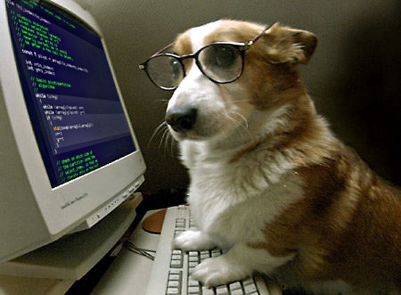 almalgo_tech's tweet image. When you let AI handle the work, but you&apos;re still keeping an eye on things.🐕💻