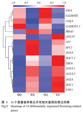 JSA_Journal's tweet image. Differential expression analysis of flowering-related genes in #stemapextissues of flowering #Chinesecabbage based on #transcriptomesequencing. 

Read #OpenAccess: scienceopen.com/document?vid=2…

#differentiallyexpressedgenes (#DEGs) #floweringregulation @Science_Open
