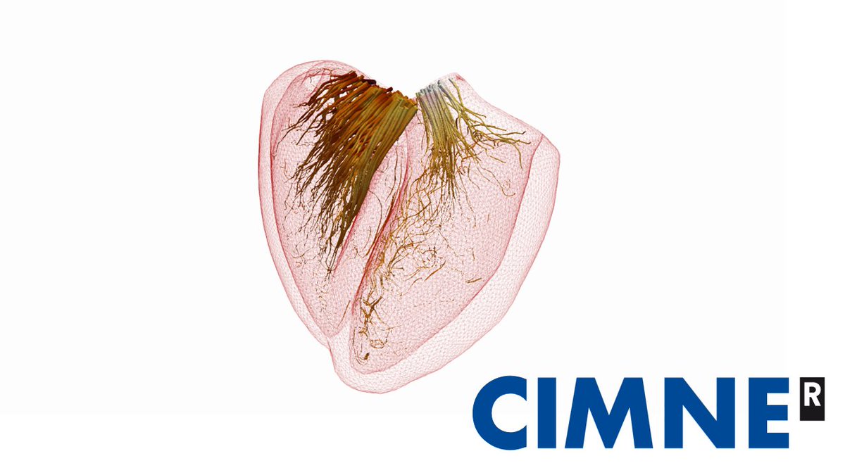 🎥 [𝗩𝗜𝗗𝗘𝗢 𝗔𝗩𝗔𝗜𝗟𝗔𝗕𝗟𝗘] Missed Prof. Cristóbal Bertoglio's CIMNE Seminar on "Inverse Problems in Cardiovascular Biomechanics from MRI data"? Watch the recording now! Groundbreaking insights into MRI-based cardiovascular modelling. 

🔗 cimne.com/vnews/12183/