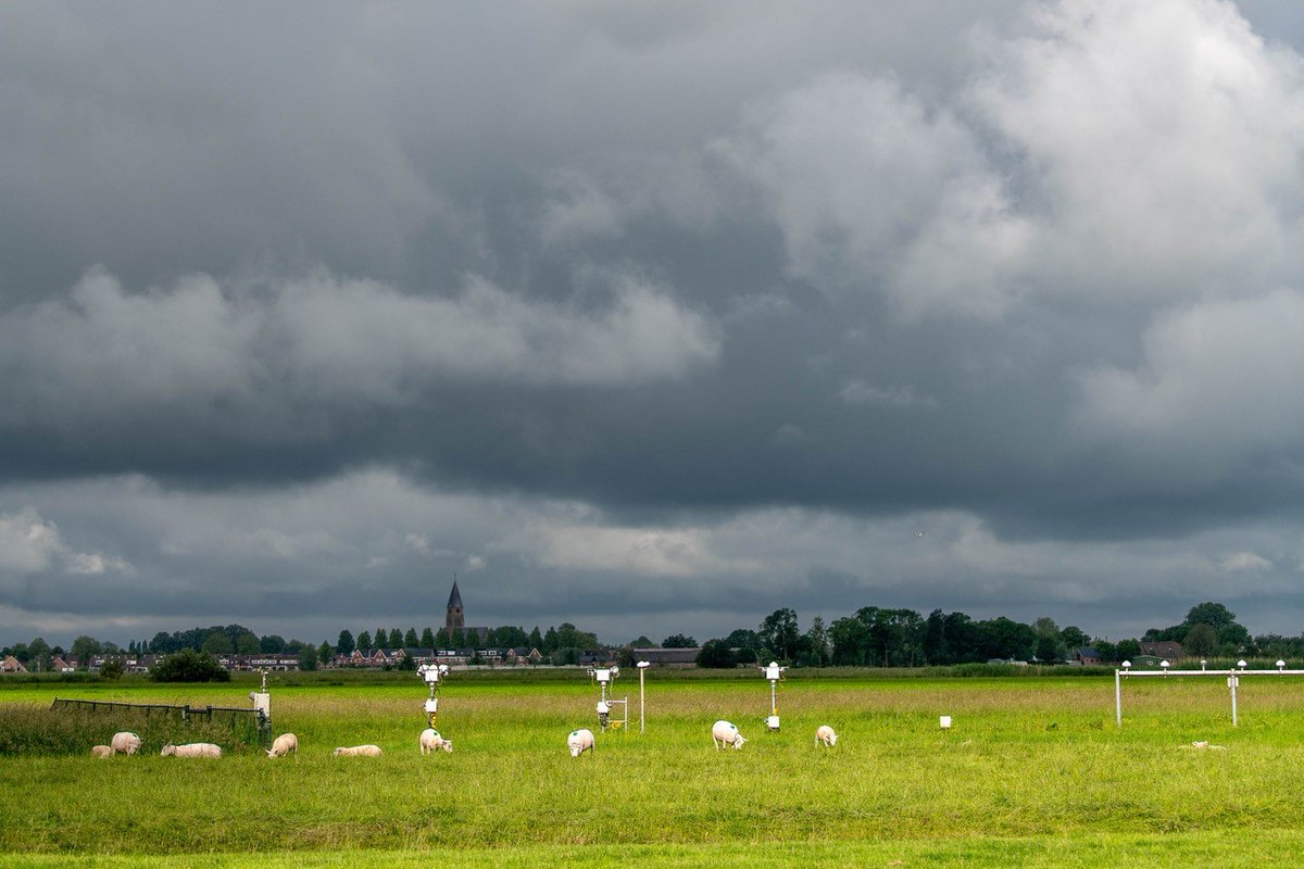 Ruisdael Observatory (@ruisdaelobserv) on Twitter photo Reliable #solar radiation forecasting is key for stable electric grid ops. While #clouds impact solar radiation, traditional advection methods struggle to predict cloud development. <a href="/KNMI/">KNMI</a> researchers compared 2 deep learning models & an advection method: ruisdael-observatory.nl/deep-learning-… Reliable #solar radiation forecasting is key for stable electric grid ops. While #clouds impact solar radiation, traditional advection methods struggle to predict cloud development. <a href="/KNMI/">KNMI</a> researchers compared 2 deep learning models & an advection method: ruisdael-observatory.nl/deep-learning-…