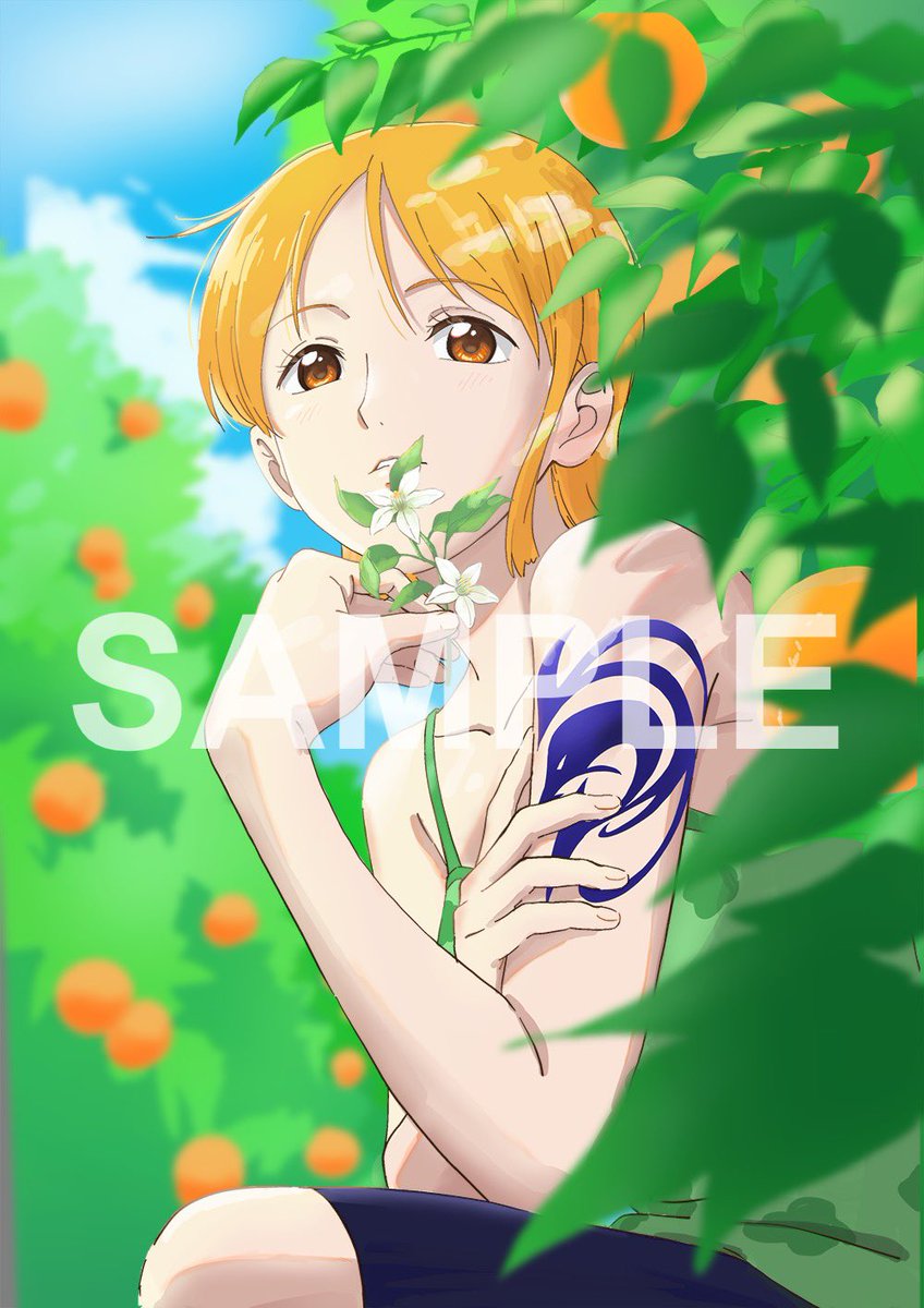 ワンピカード速報⑥】 2025.1.25(土)発売 『エクストラブースター