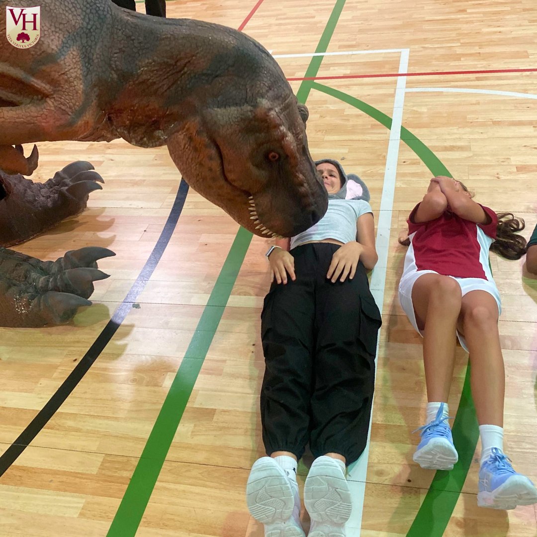 VHPrimary's tweet photo. Our students had an incredible experience with Jam, the T-Rex! The amazing team from @teach_rex shared fascinating dinosaur facts and information about paleontology. 

#VHPS #VHPSRocks #VHPSLittleThings #VHPSCommunity #WeCareAboutTheLittleThings #PrimarySchool #BestPrimarySchool https://t.co/KxzD7VkeT1