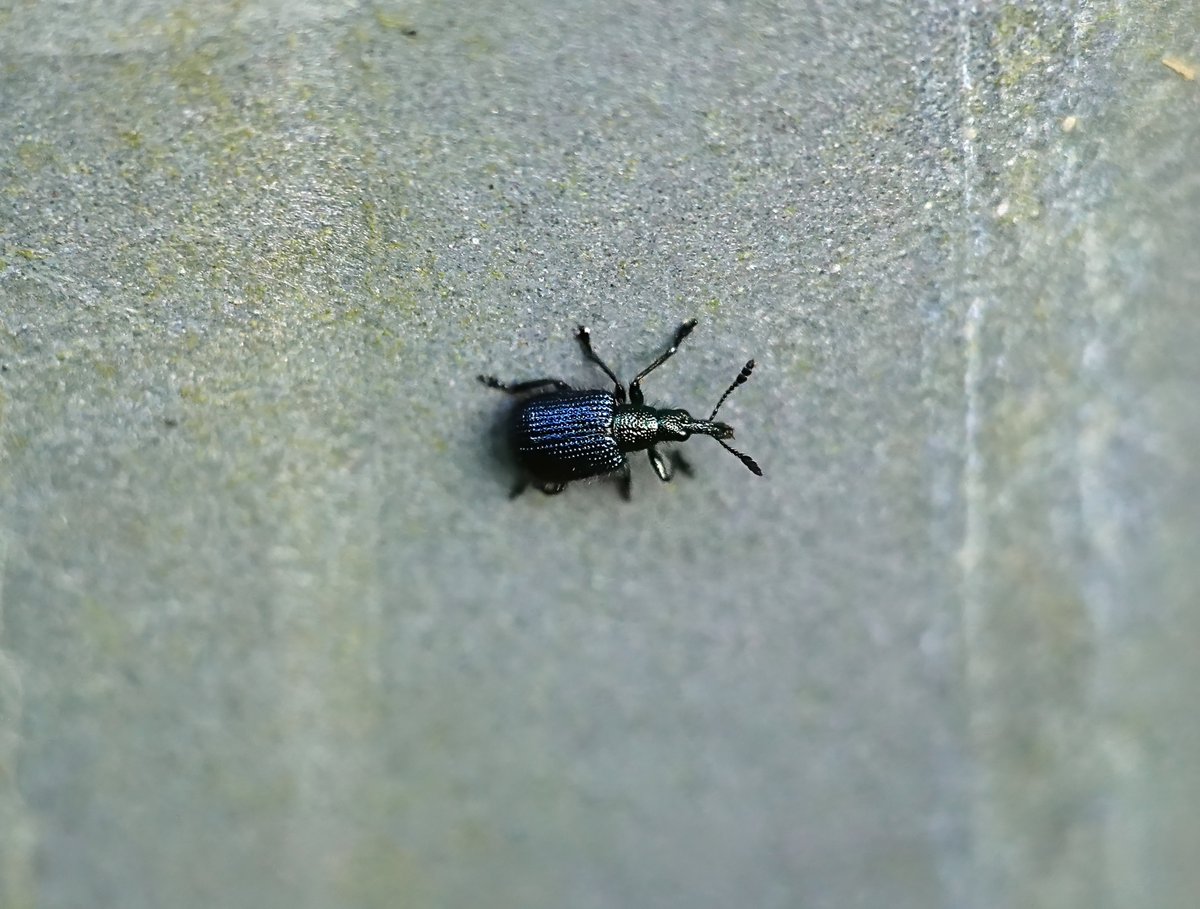 'PK' 🏳️‍🌈 tweet media