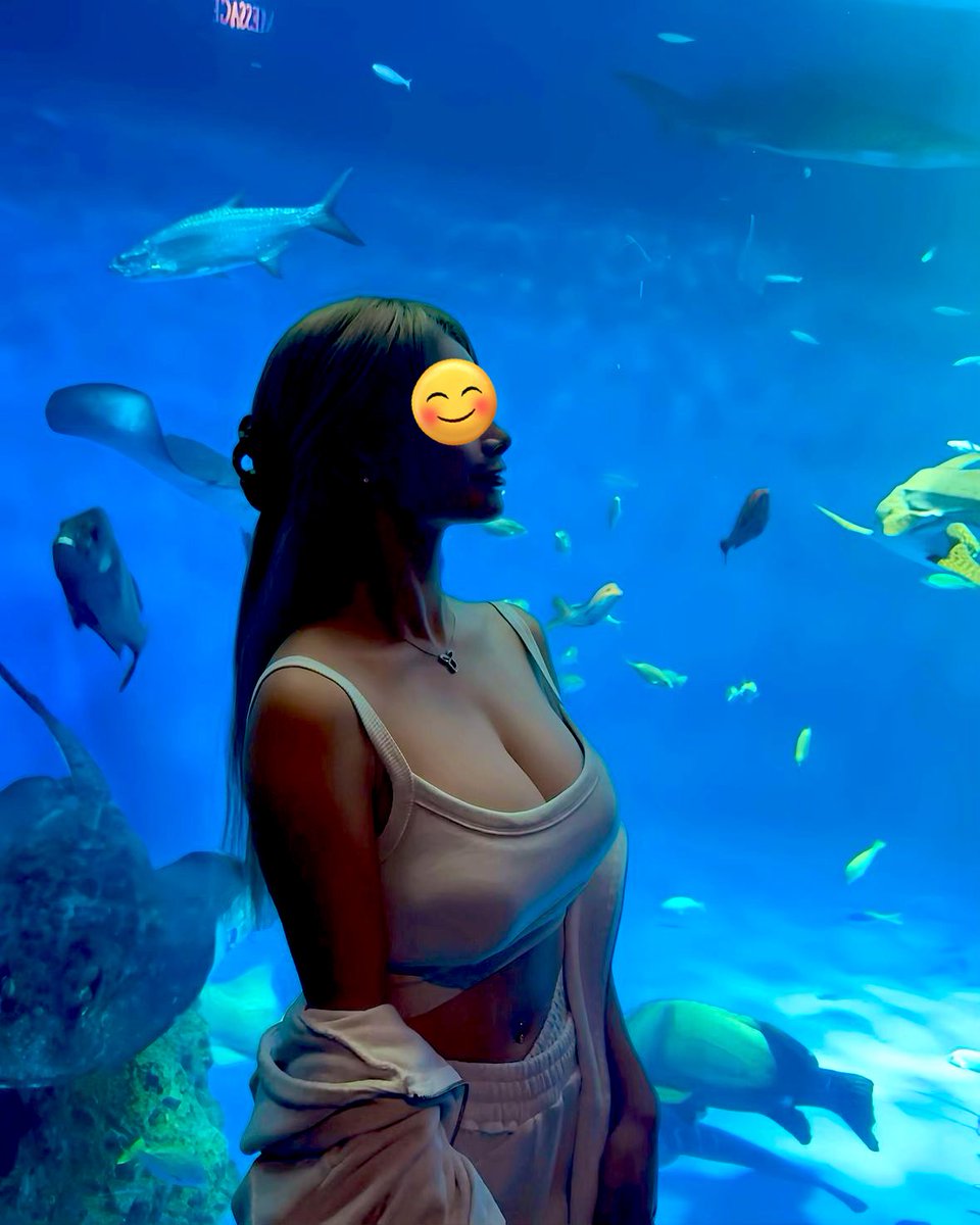 k35nago's tweet photo. I went to the aquarium in Suma🐠

須磨シーワールドに行ってきたよん⚓️🫧🐡

館内の造りが凝ってて
子供も大人も楽しめる空間で
めっちゃ良かったぁ〜！！🪼✨

みんな気持ち良さそうに泳いでて
癒されました〜🫧🌿🐠 https://t.co/TyRE8bKZdz