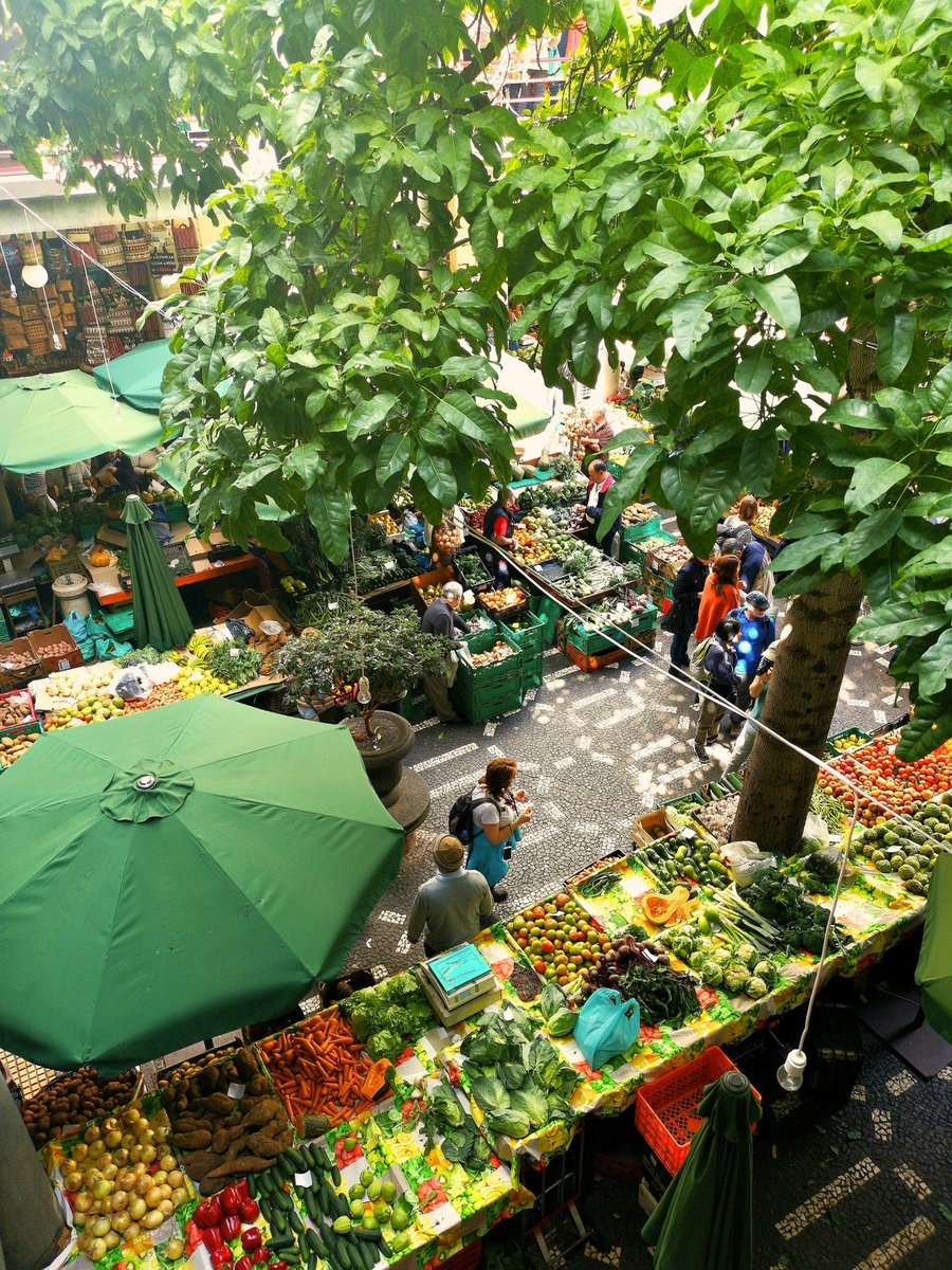 How can the #Food2030 Framework support innovation in urban food systems transformation?

@alice_casiraghi and Shaleen Meelu are explaining how @Food_Trails did it at the project’s final conference.

Read all about it 👉 eurocities.eu/latest/food-tr…

<a href="/mufpp/">Milan Urban Food Policy Pact</a> <a href="/SlowFoodEurope/">Slow Food Europe</a>