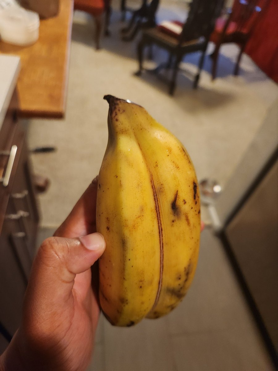 This is how you find out you're the chosen one in a Dominican YA novel