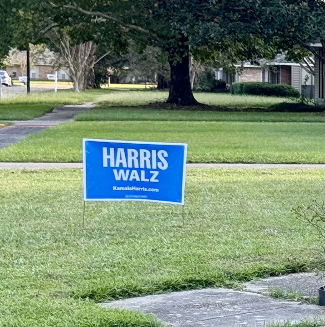 Louisiana Blues tweet media