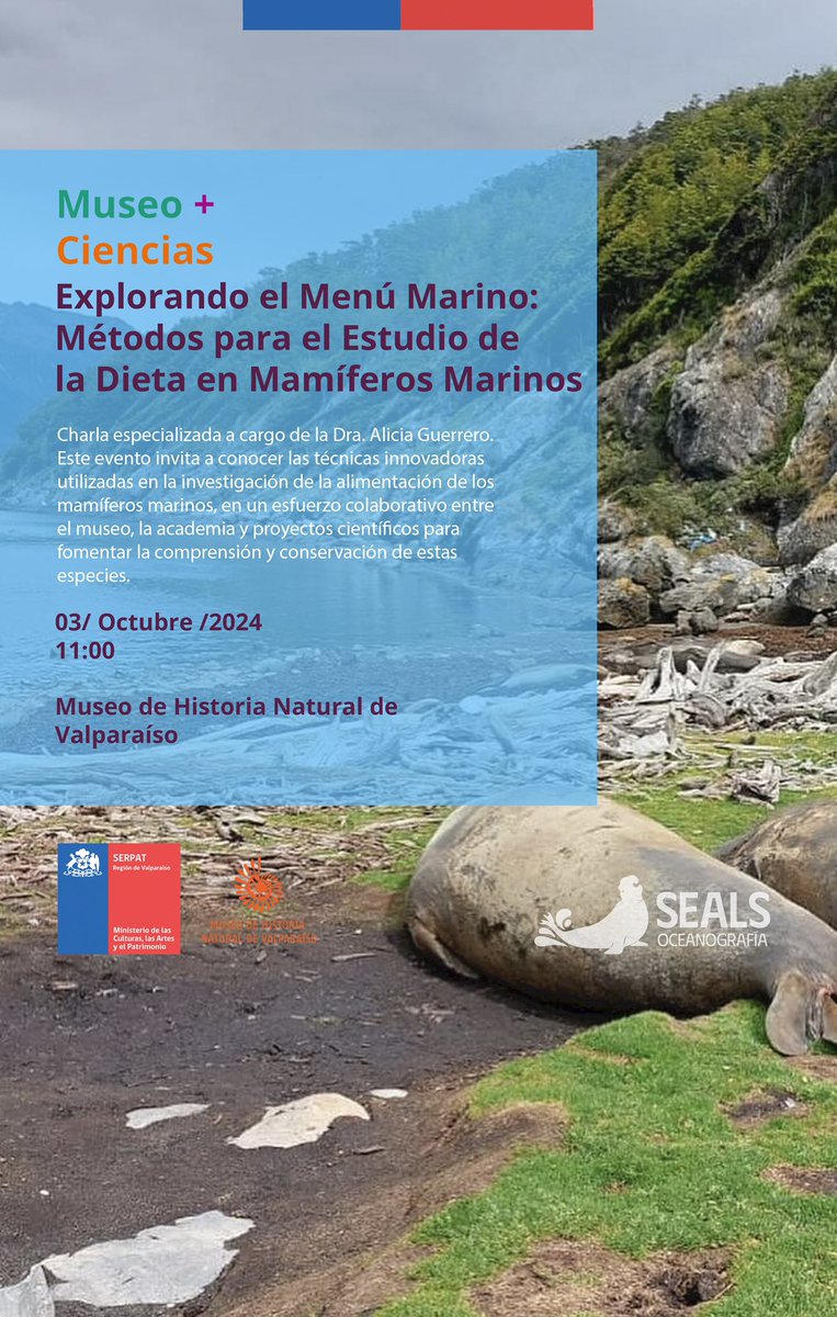 👀 Atent@s #Valparaiso: los esperamos hoy 11 hrs en <a href="/mhnvalpo/">Museo de Historia Natural de Valparaíso</a> con <a href="/aly_guerrero/">Alicia Guerrero</a>  y charla sobre mamíferos marinos 🦭 #FestivaldelasCiencias <a href="/min_ciencia/">Ministerio de Ciencia</a> y proyecto de investigación #AnilloSEALS <a href="/CentrosAnid/">Centros ANID</a>